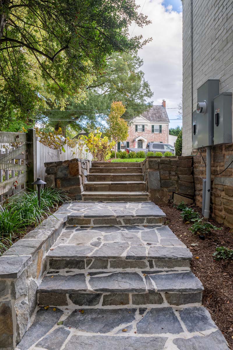 Pristine Acres ADAMS 56