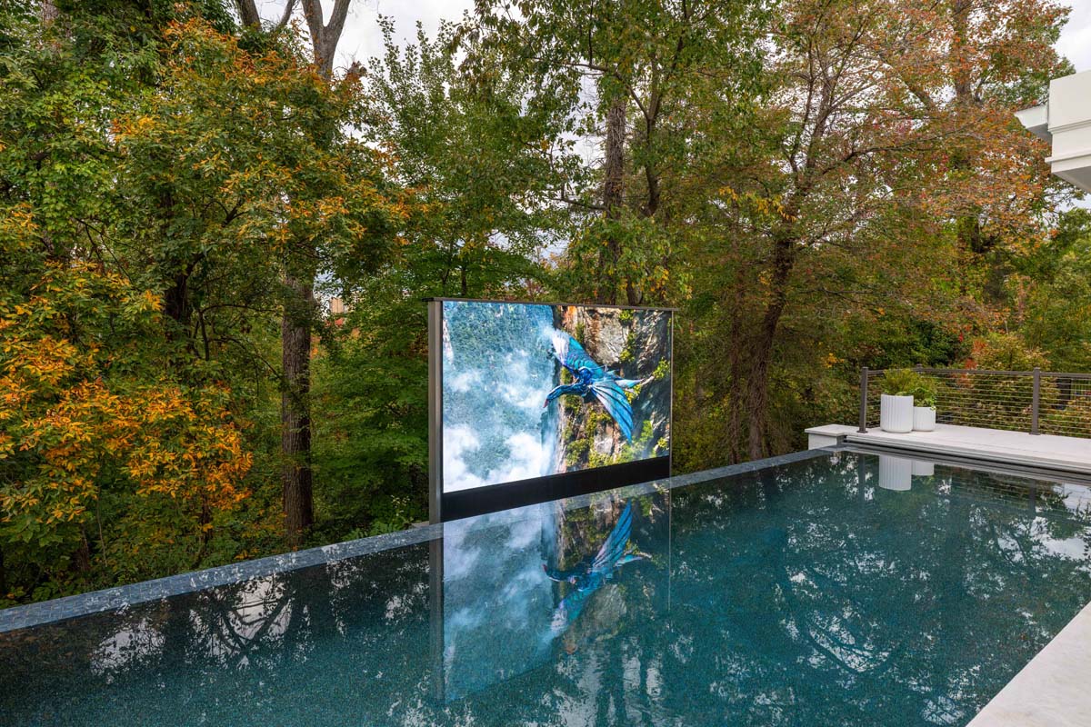 Pristine Acres ADAMS 67