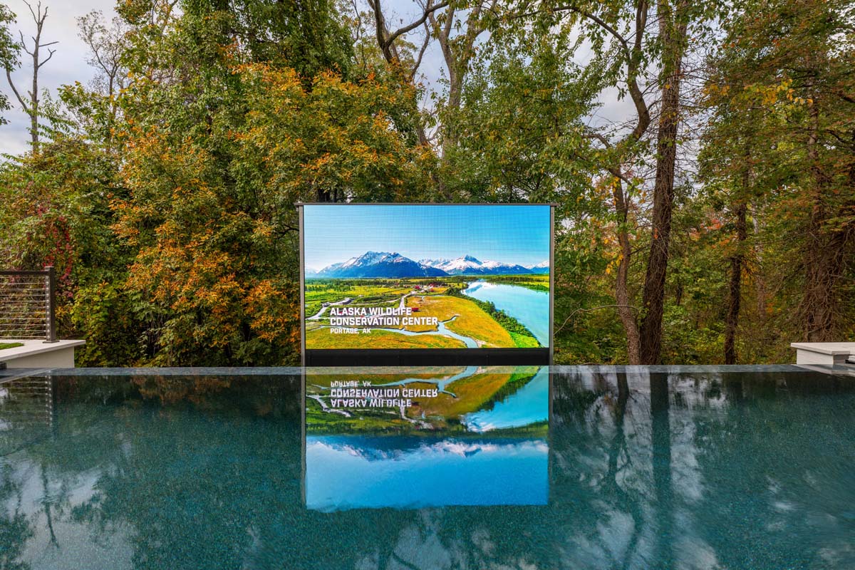 Pristine Acres ADAMS 82