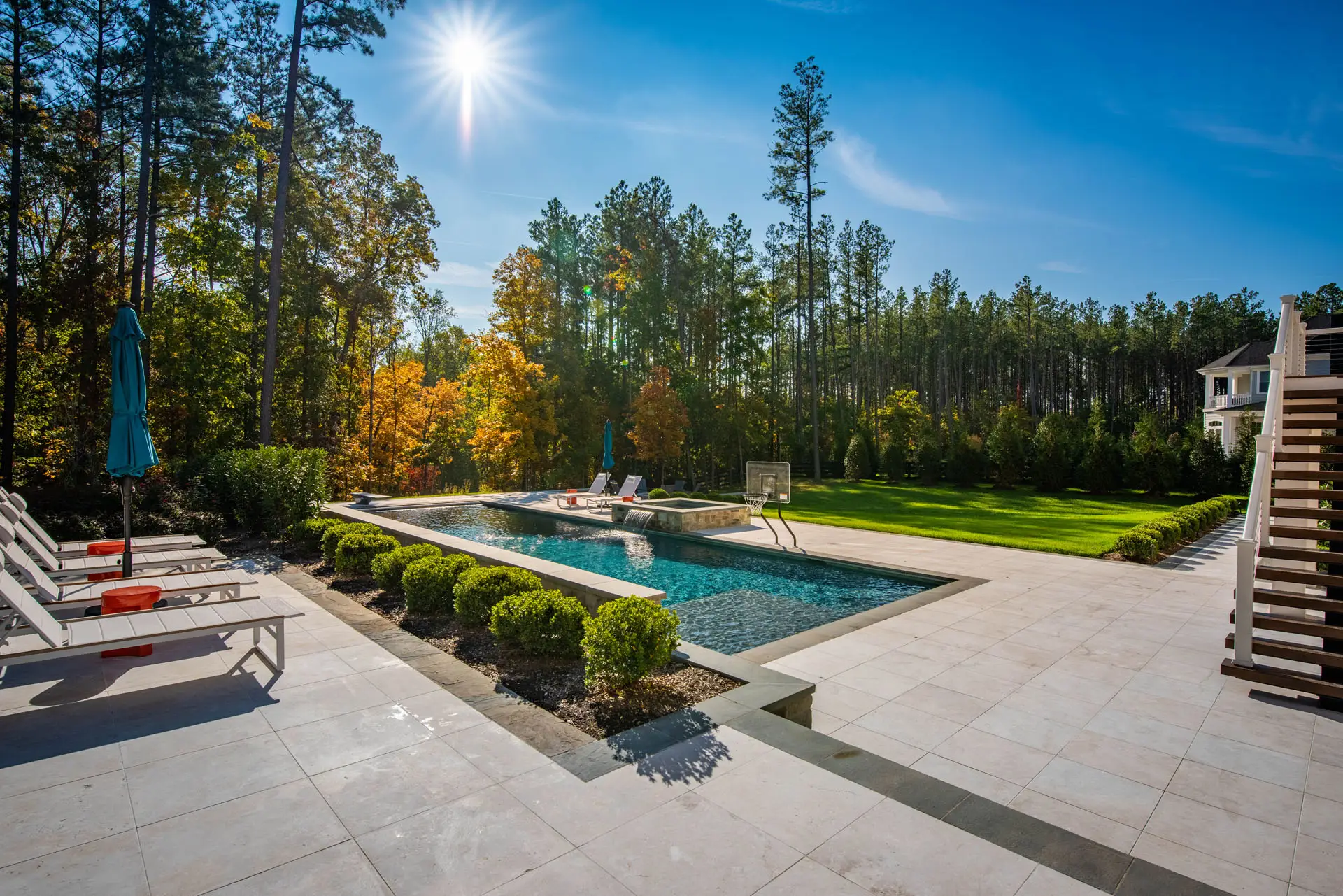 whole back yard